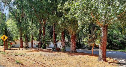 Rouge Cobb Mountain Hotel - Cabin 4