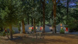 A row of cabins surrounded by tall trees in a forested area. - Rouge Cobb Mountain Hotel - Cabin 5 (Cobb)