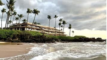 Um hotel à beira-mar com estrutura em vários andares, palmeiras e um litoral rochoso.