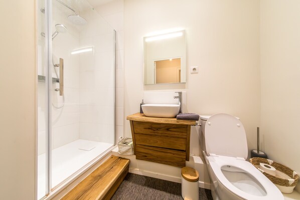 Shower, hair dryer, towels