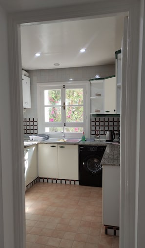 A kitchen with a washing machine, a sink, and a window with a view of pink flowers.