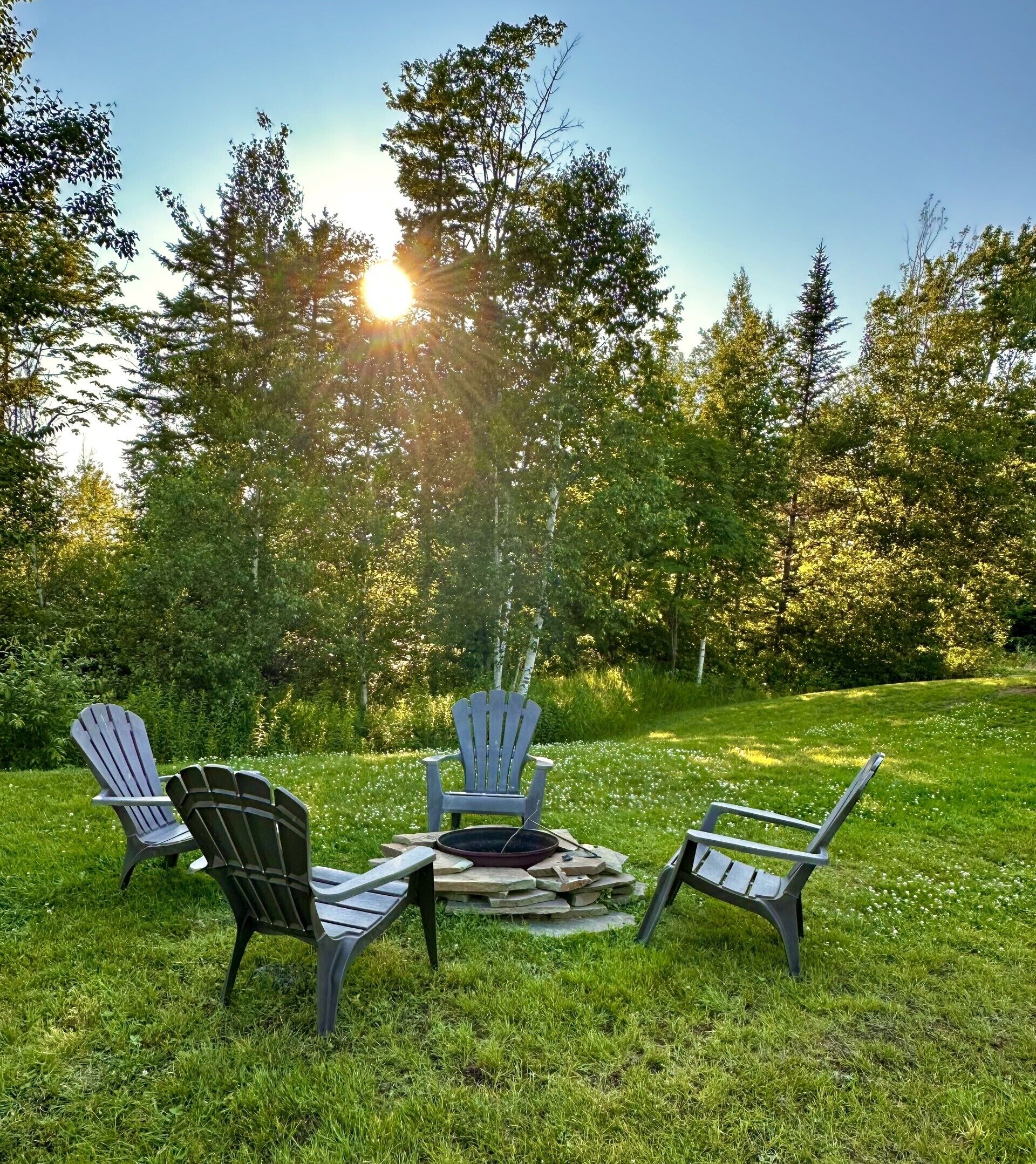 A garden with three Adirondack chairs, a fire pit, and a stone fire ring.