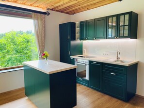 Fridge, oven, stovetop, dishwasher