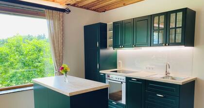 Cozy vacation home with fireplace - surrounded by wine & forest in Western Styria