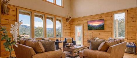 TV, fireplace, video games, books