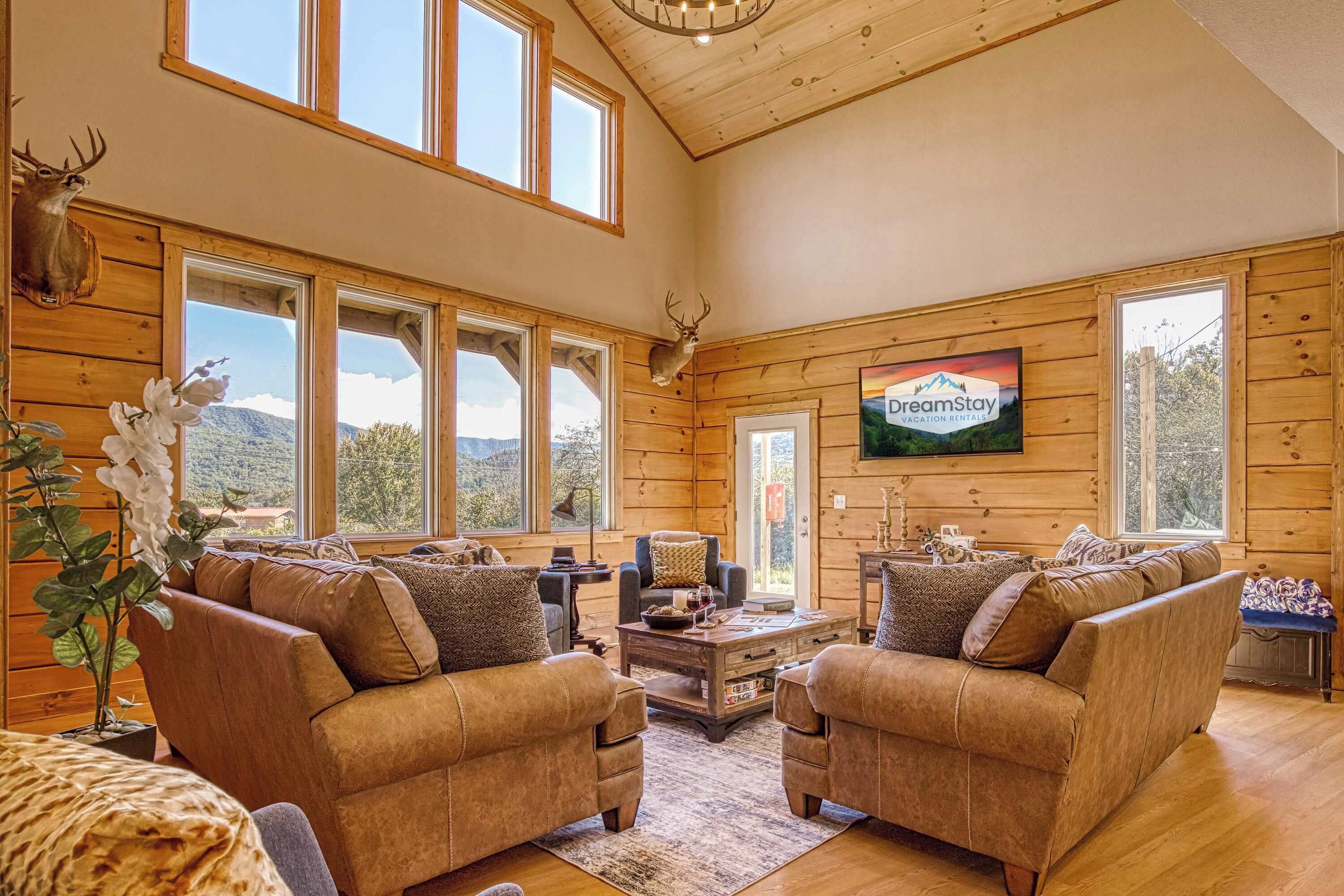 TV, fireplace, video games, books