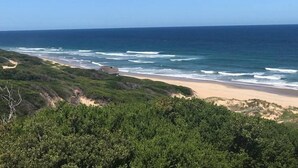 A coastal landscape with a beach, ocean waves, and dense greenery.