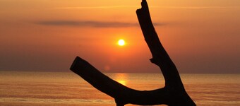 Cozy oasis of peace "Akazienruh" in Wieck with roof gallery