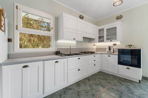 Fridge, oven, stovetop, dishwasher