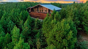 A cabin surrounded by dense forest with a large deck and multiple windows.