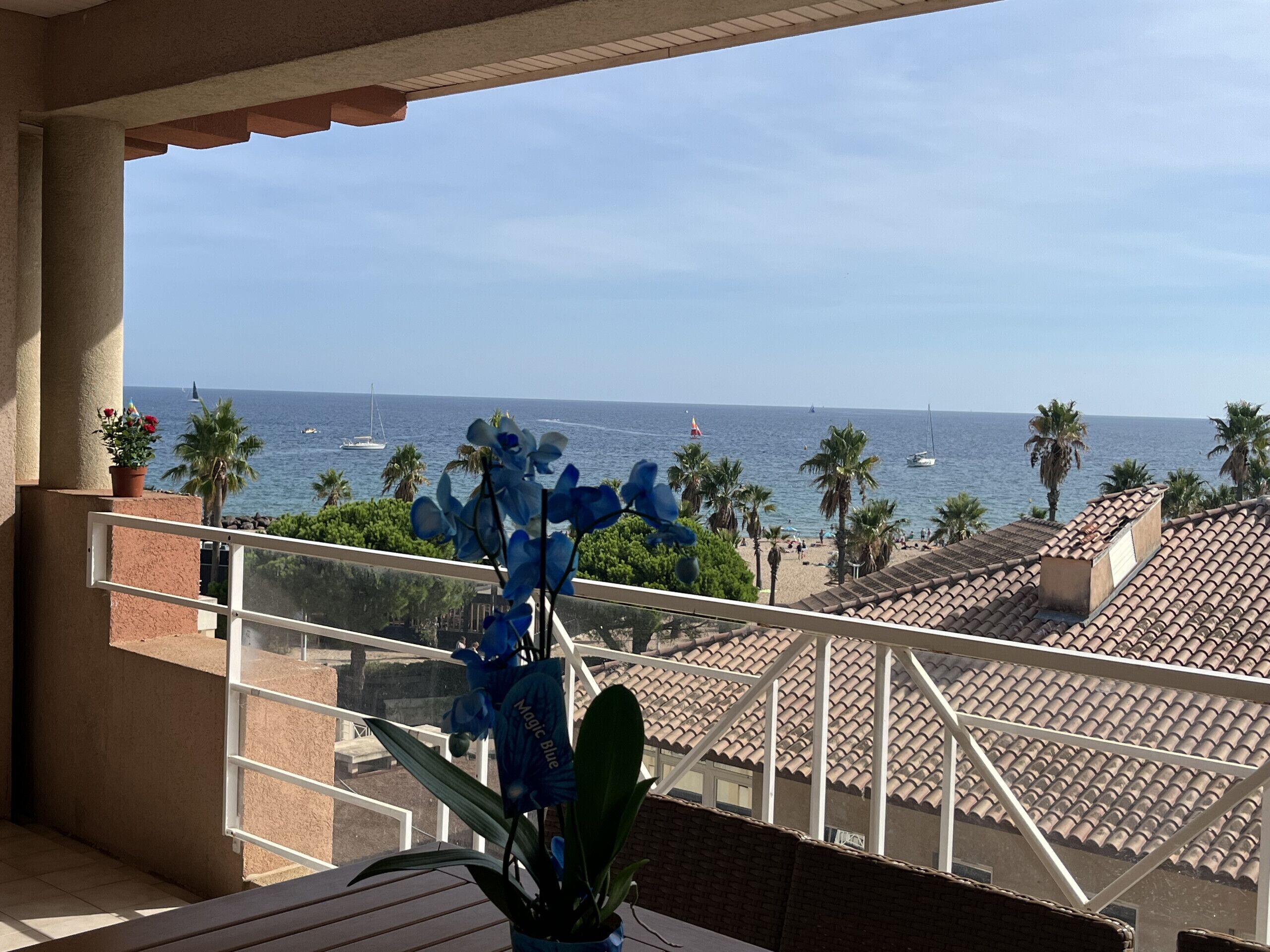 Ein Balkon mit Blick auf das Meer, einer Topfpflanze und einem Ziegeldach.