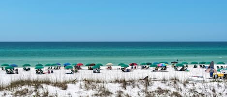 Condo, Multiple Beds (Pavilion Palms 105C- The Emerald Jewe) | Beach