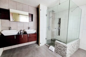 Shower, hair dryer, towels, soap