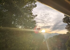 Vista da propriedade