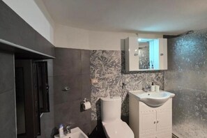 Shower, hair dryer, bidet, towels