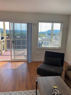 Superior Apartment, Pets allowed, Mountain View | Living area | 55-inch LED TV with satellite channels, Netflix, Hulu
