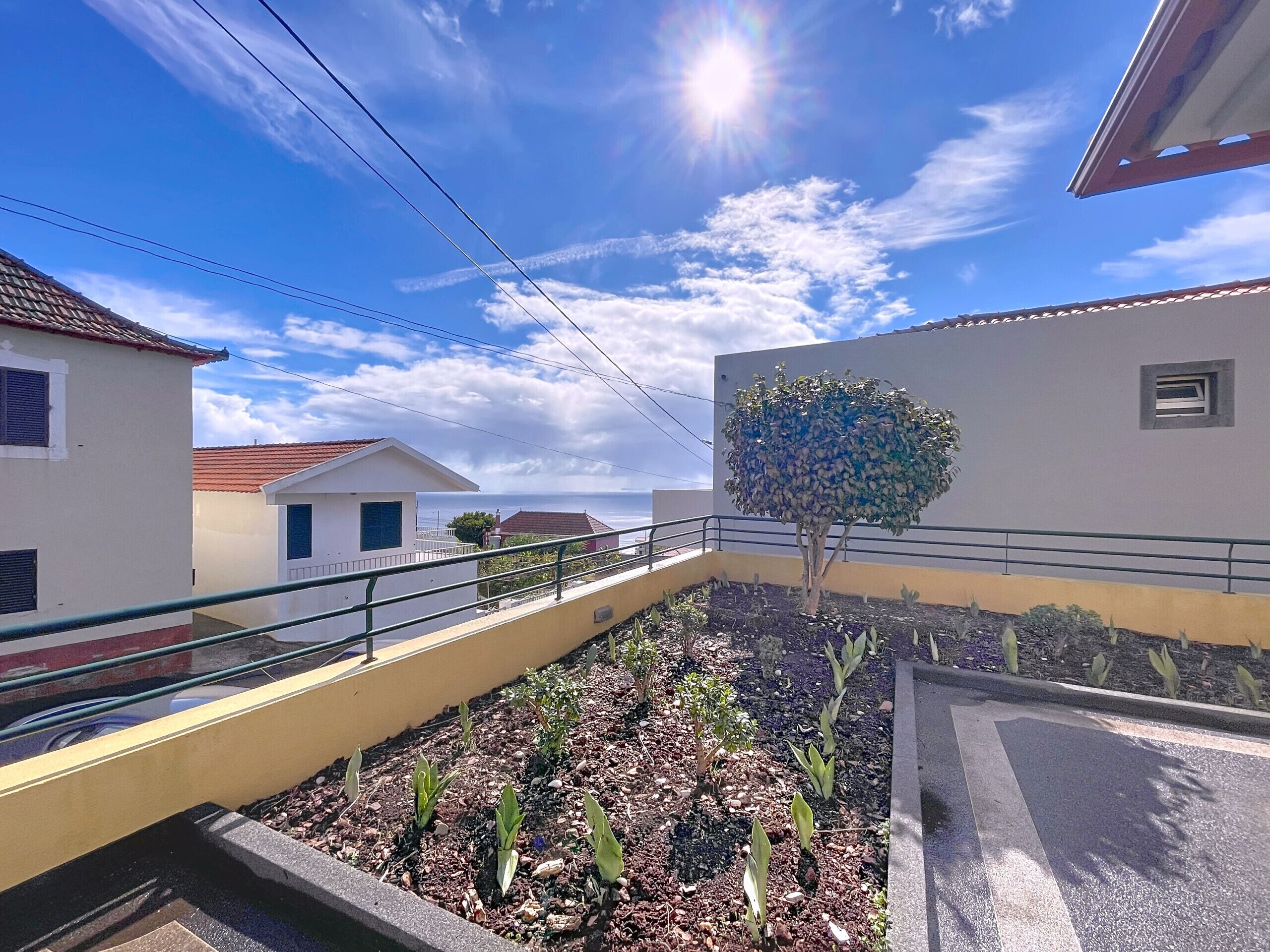 A residential area with a paved walkway, a tree, and buildings with white and yellow walls.