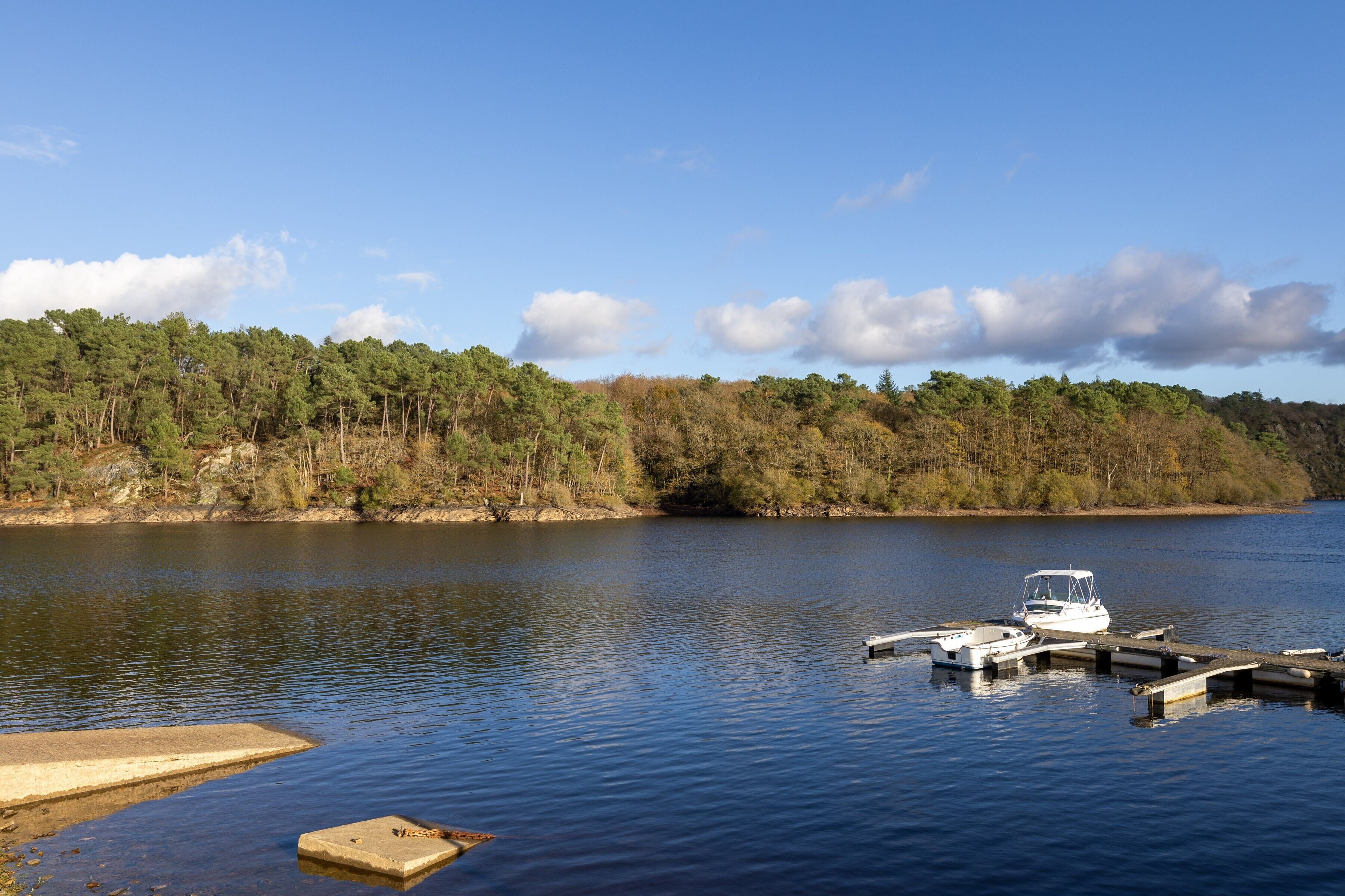 Ein ruhiger See mit einer Anlegestelle und einem Boot, umgeben von dichtem Wald.