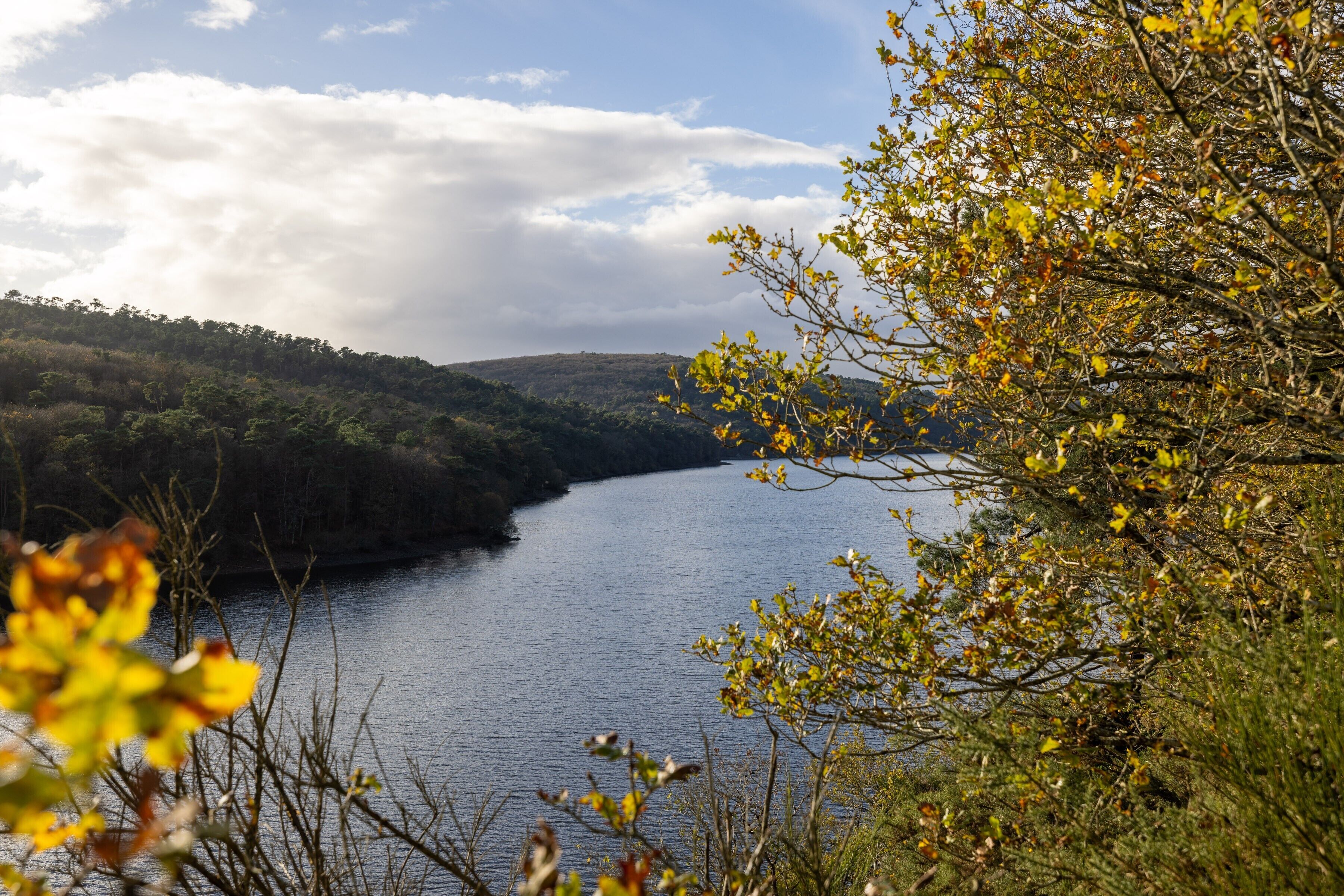 Un lago rodeado de colinas y árboles.