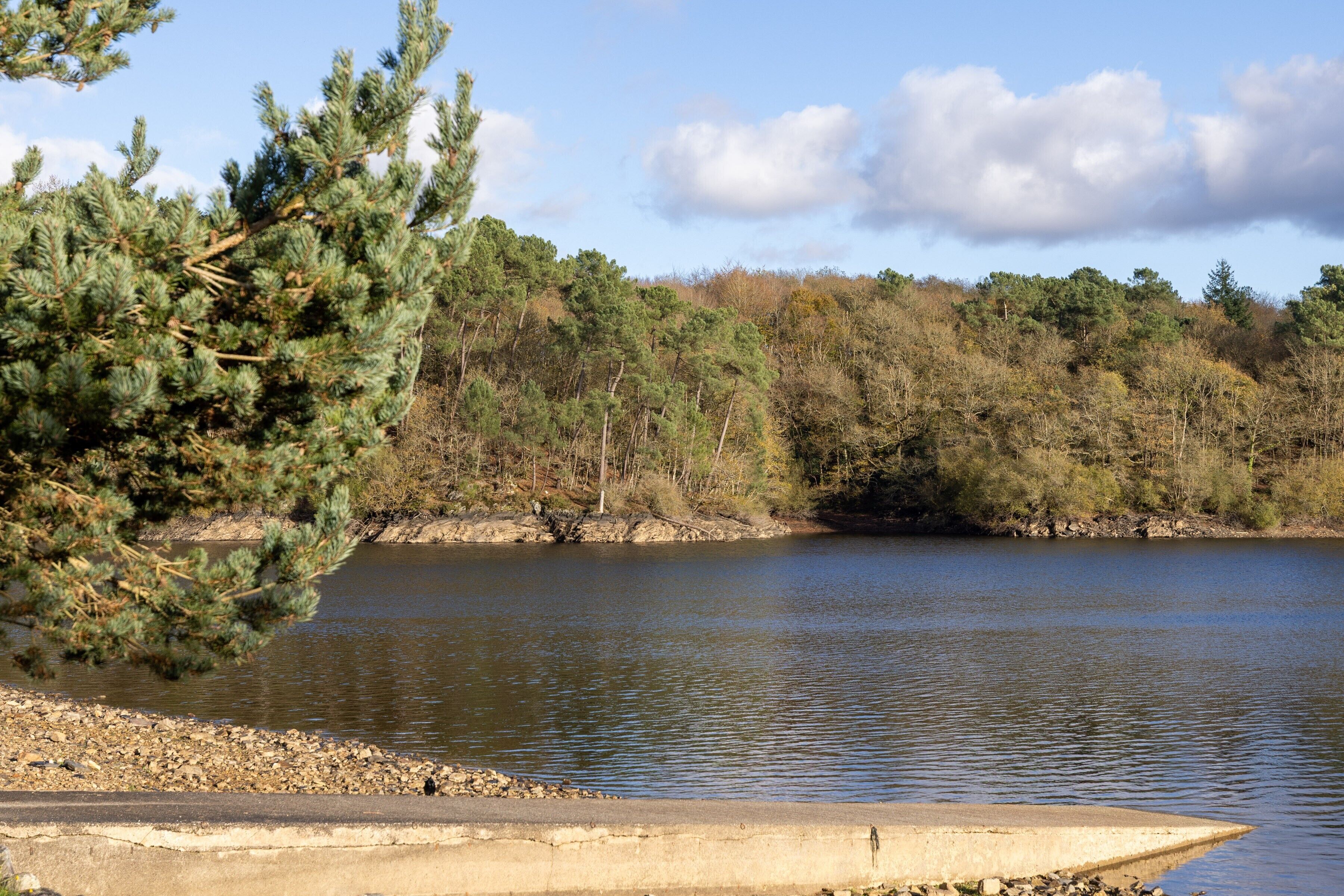 A calm lake with a concrete viewing platform, surrounded by dense trees and a clear sky.