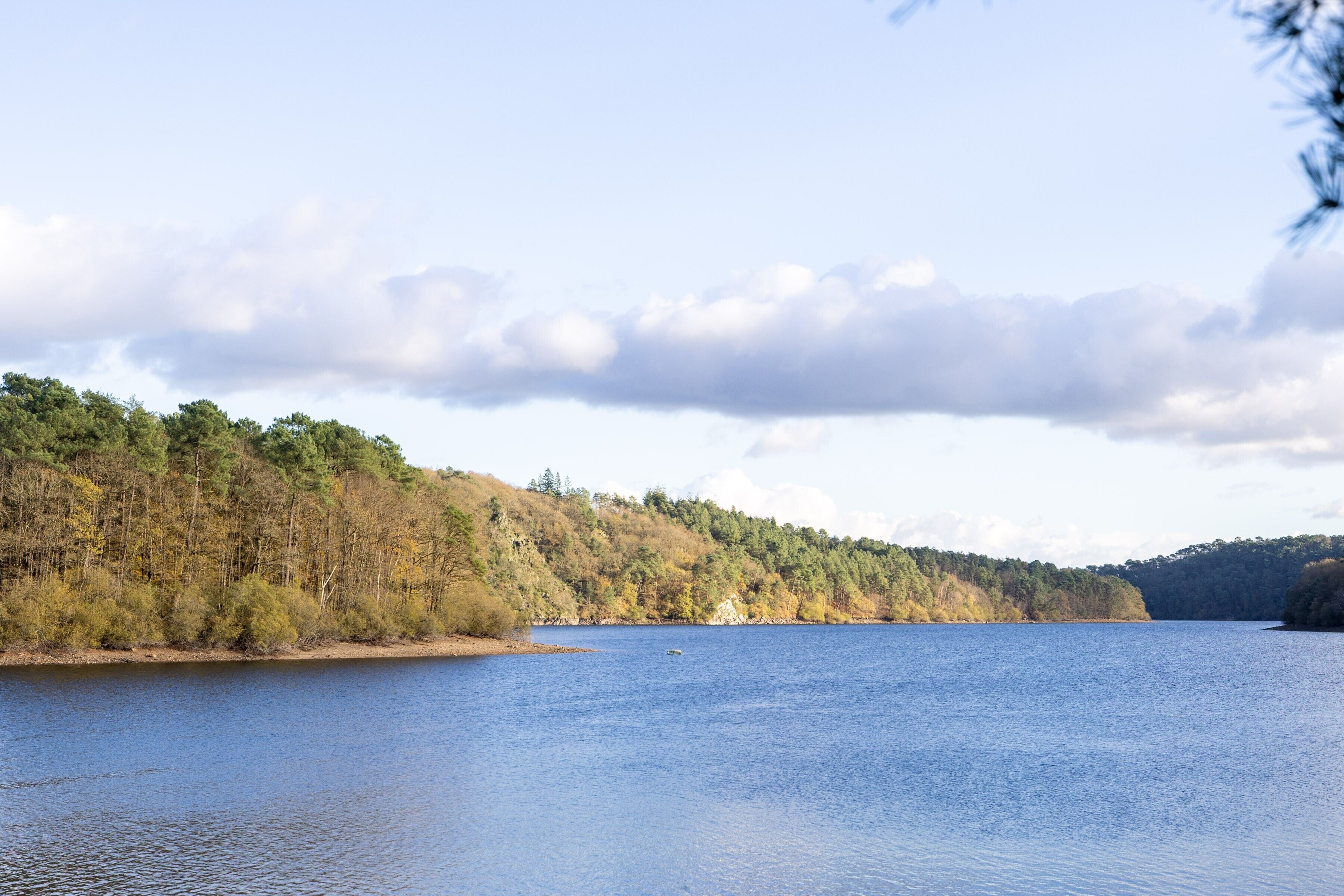 Un lac paisible, bordé d’une forêt et surplombé d’un ciel dégagé.