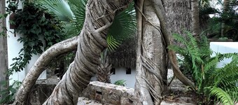 Mi Media Naranja-Ocean view luxury casita