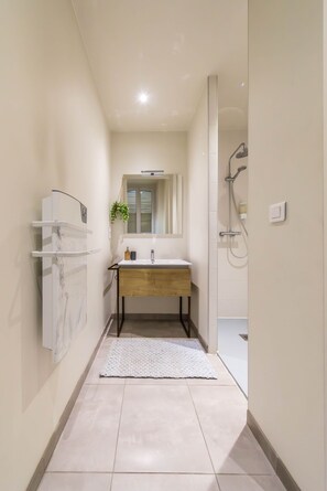 Shower, hair dryer, towels