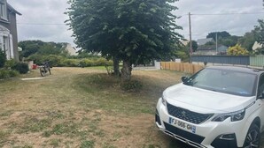 Een witte SUV geparkeerd in een grasrijk gebied, met een boom en een hek op de achtergrond.