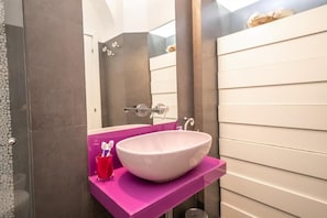Shower, hair dryer, bidet, towels