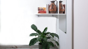 Een badkamer met een witte muur, een plant in pot, een plank met boeken en vazen, en een marmeren vloer.