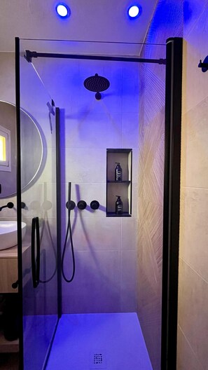 Shower, hair dryer, bidet, towels
