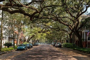 A tree-lined street with parked cars and buildings on either side.