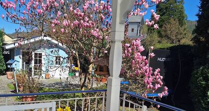 Ferienwohnung in Miltenberg gehobene Ausstattung mit Dachterrasse Südseite