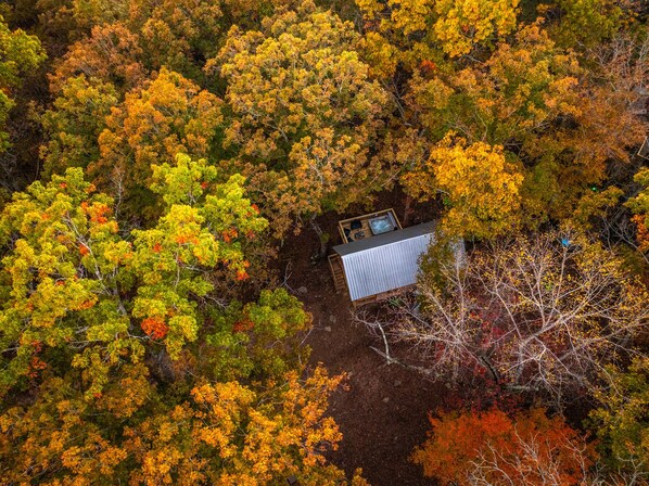 Aerial view - Cabin Retreat with Hot Tub, Sauna, Projector, Grill, Arcade and Fire Pit (Mentone)