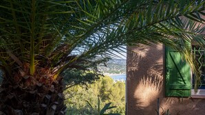 A palm tree, a green shuttered window, and a coastal view. - Villa 'La Mignonette' with Sea View, Private Garden and Wi-Fi (Cavalaire-sur-Mer)
