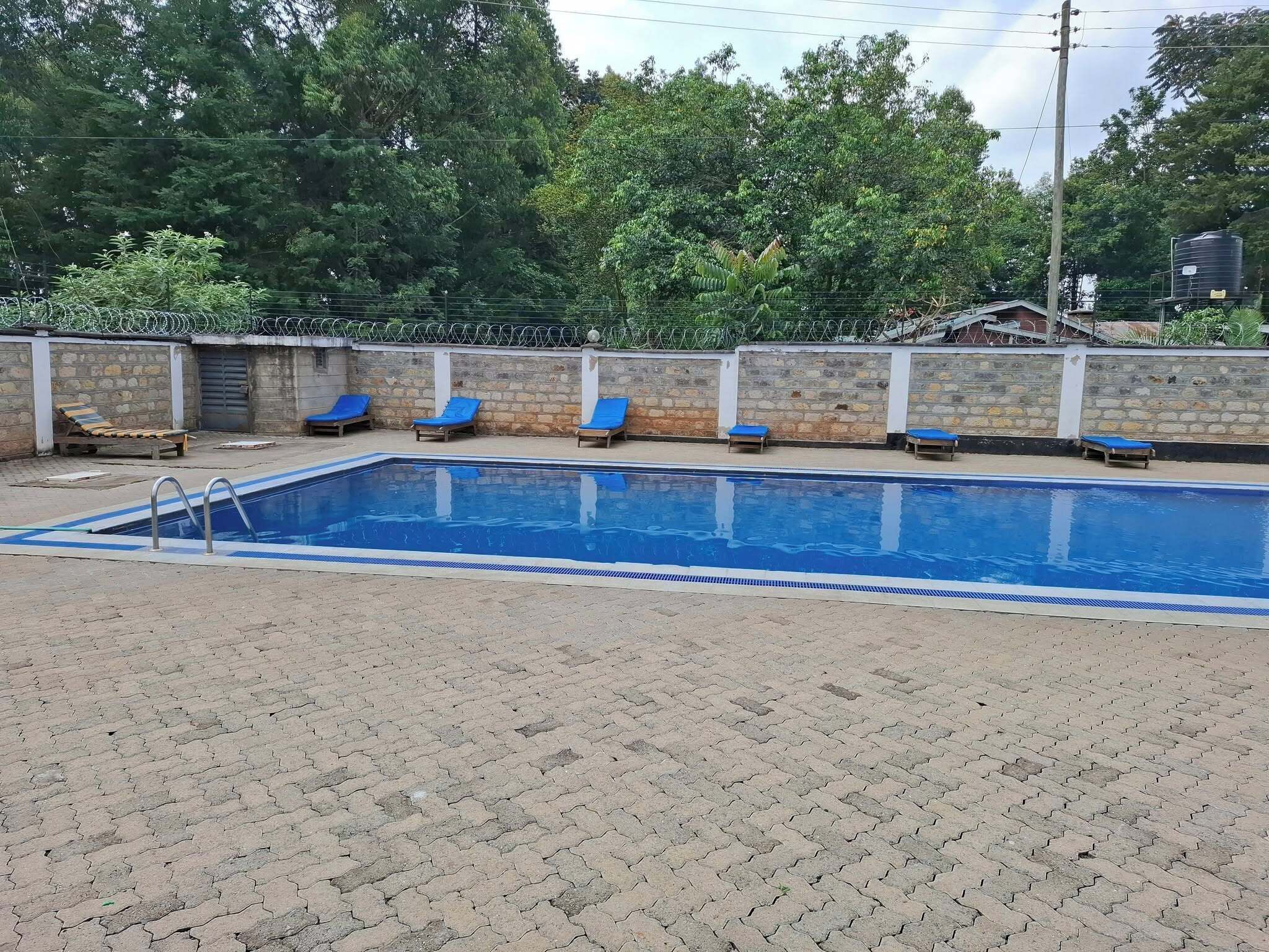 Une piscine rectangulaire avec un escalier en métal d’un côté, entourée d’une terrasse en briques. On y trouve six chaises longues bleues alignées contre un mur de pierres, surmonté d’une clôture en fil barbelé.