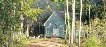 Cabin in the woods at Stokes Bluff