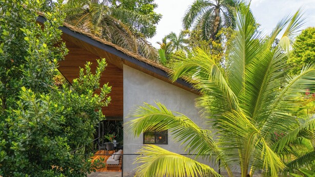 Une maison moderne avec un toit en bois, entourée d’une végétation luxuriante et de palmiers.