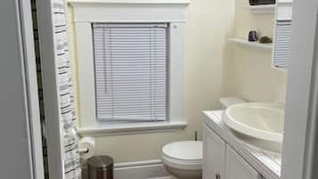 Hair dryer, towels, soap, toilet paper