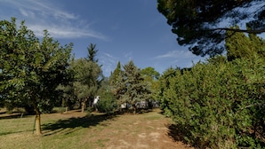 A pathway through a park with various trees and shrubs.