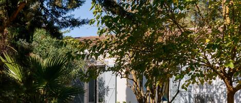 テラス / パティオ