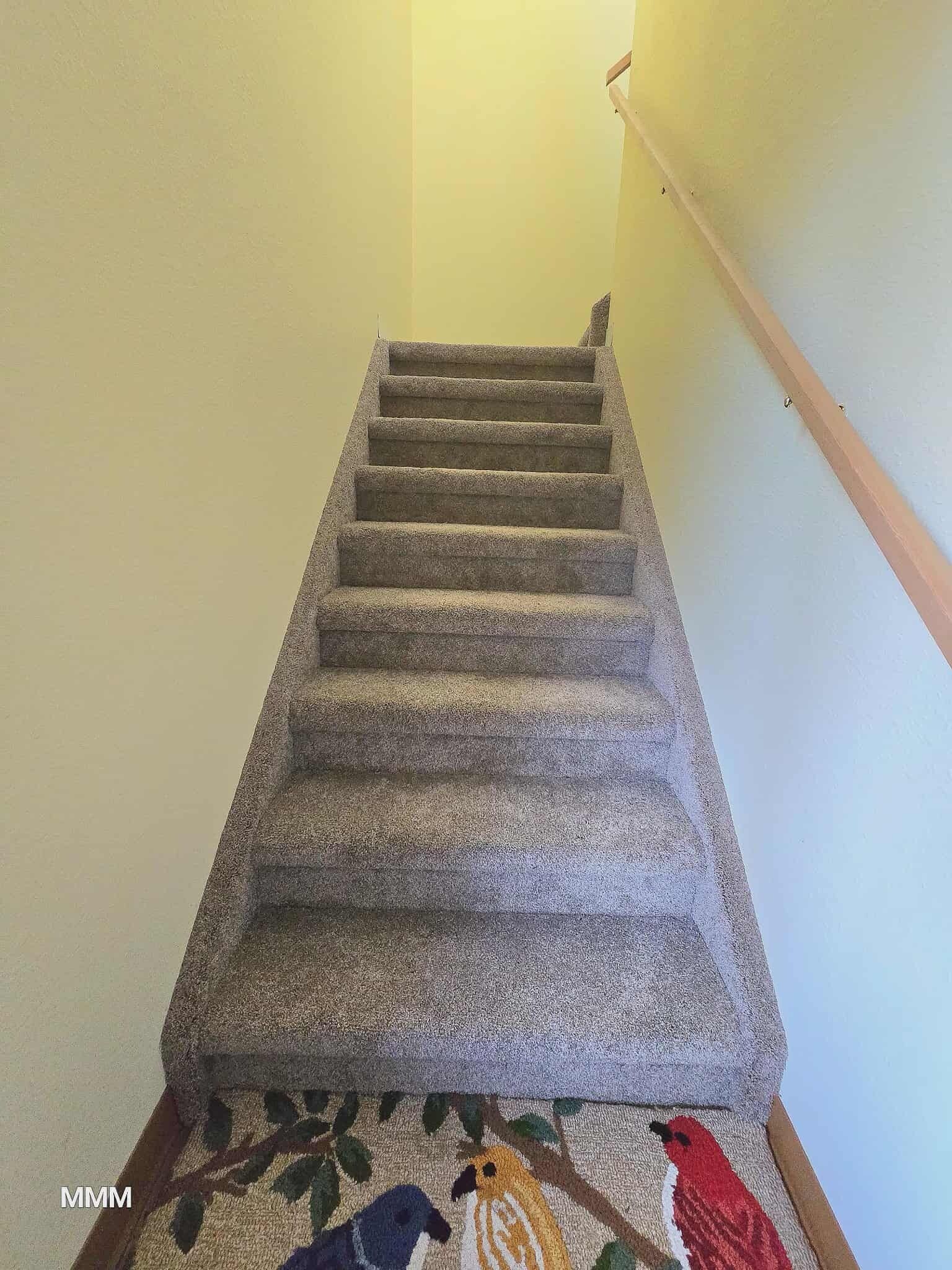A carpeted staircase with a handrail on the right and a patterned carpet at the bottom.
