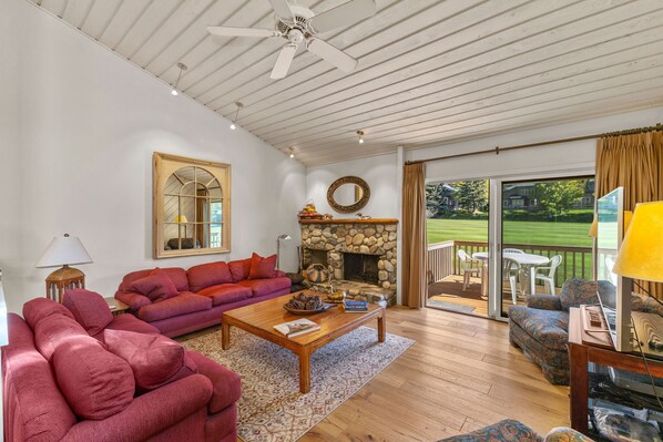 TV, fireplace, books