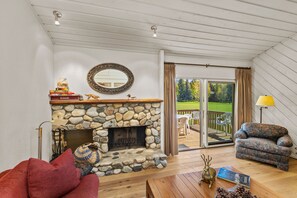 TV, fireplace, books