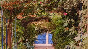 Un sendero en un jardín con bancos, una pérgola y una pared azul al fondo.