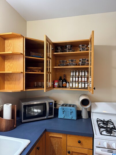 Charming 2-bedroom cabin in the Adirondacks with a treehouse and an artist loft