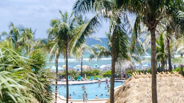 A pool area with palm trees, a thatched-roof structure, and a view of the ocean.