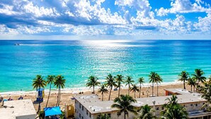 A beach view with clear skies, palm trees, and a calm sea.