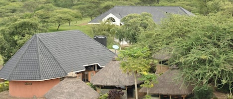 A lodge with thatched-roof huts and a main building with a tiled roof, surrounded by lush greenery.