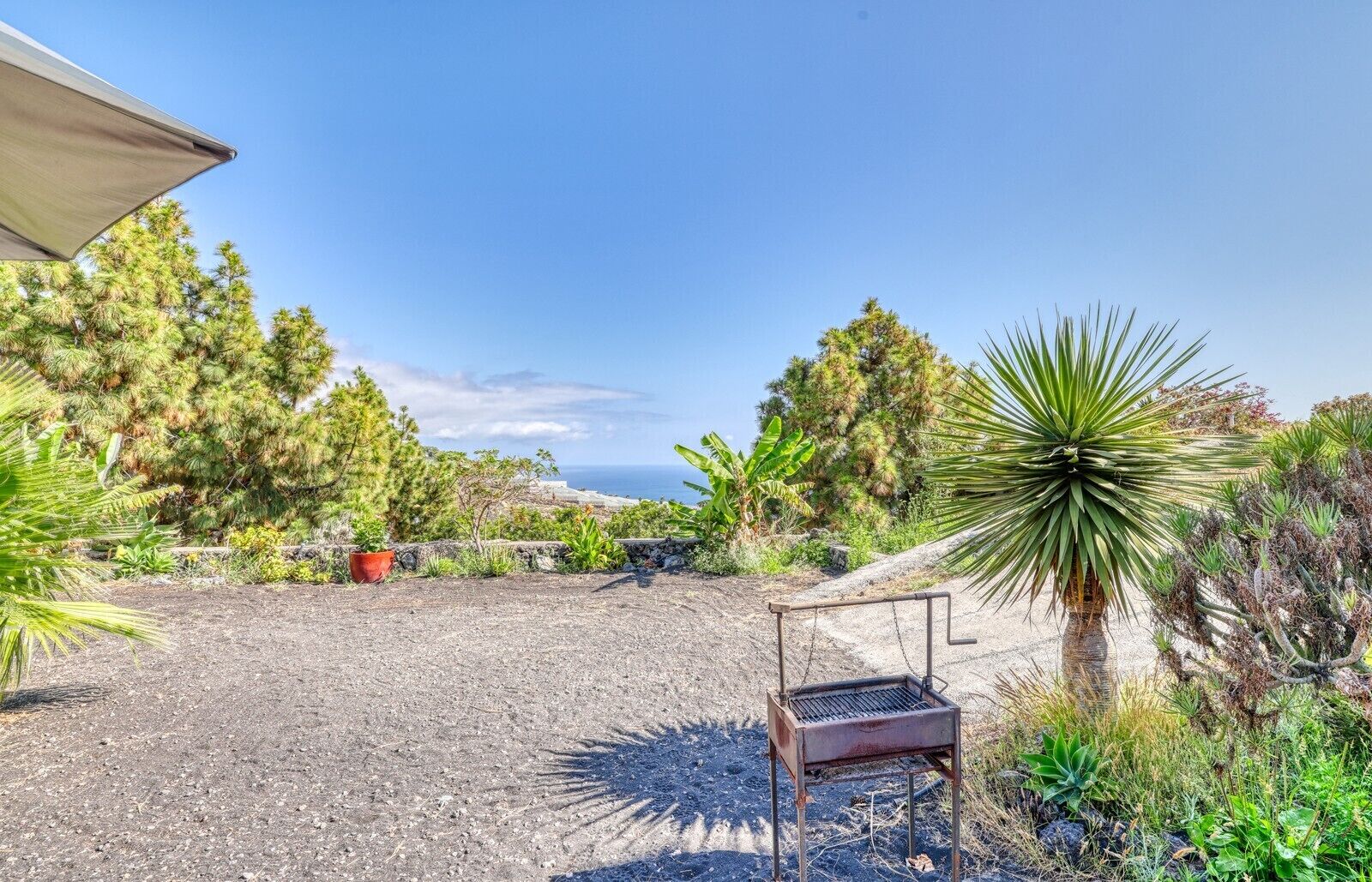 A gravel patio with a grill, surrounded by various plants and trees, overlooking a coastal landscape.